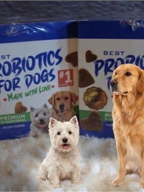 Lot of 2 Wrapped - Best Probiotics for Dogs